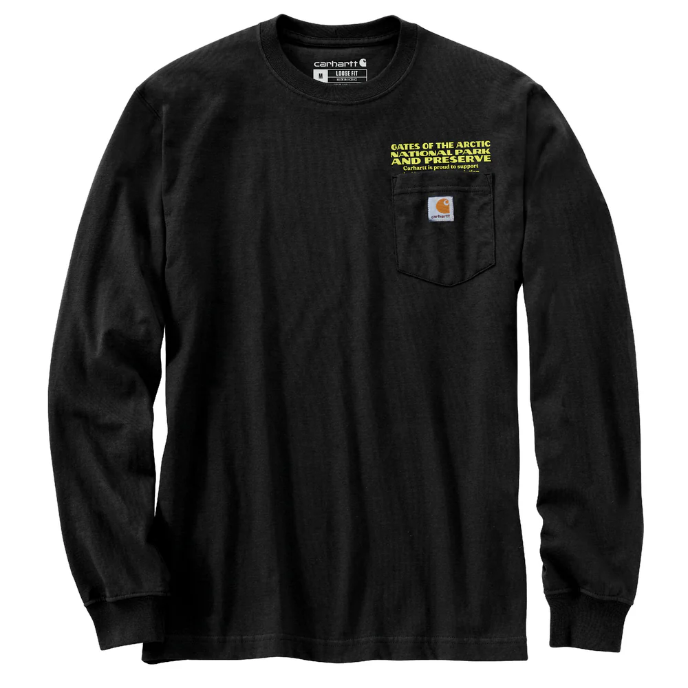 Loose Fit Heavyweight Long-Sleeve Gates of the Arctic National Park Graphic T-Shirt - BLK-Black | Carhartt 106887 - Image 2